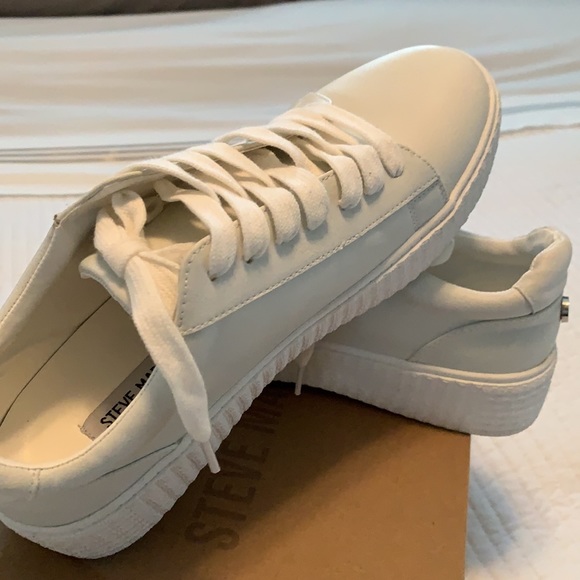 Steve Madden | Shoes | Steve Madden Hanly White Sneakers Sz 85 | Poshmark